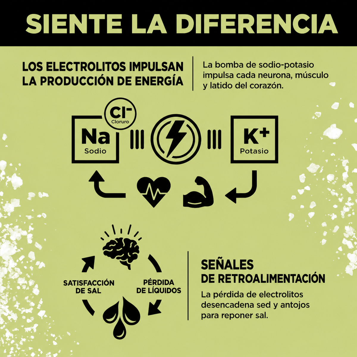 LMNT — Electrolitos sin Azúcar (30 sobres · 1 mes de suministro)