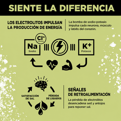 LMNT — Electrolitos sin Azúcar (30 sobres · 1 mes de suministro)